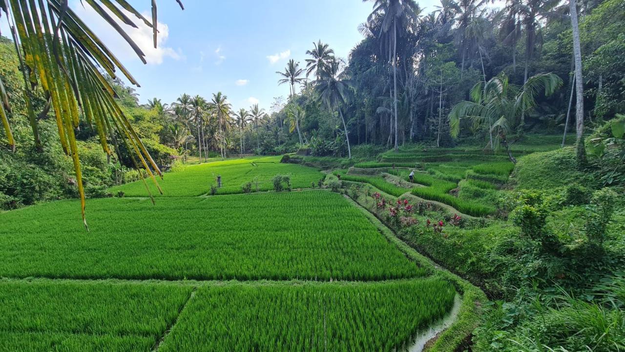 Tirta Sari Villa Tampaksiring Buitenkant foto