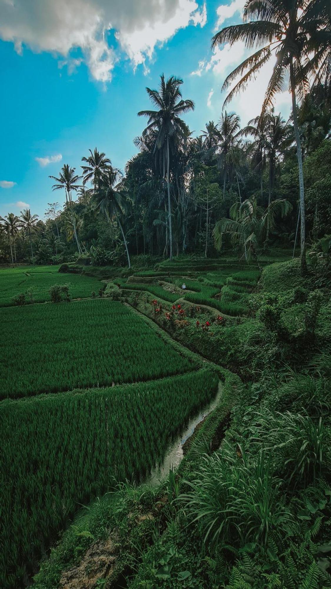 Tirta Sari Villa Tampaksiring Buitenkant foto