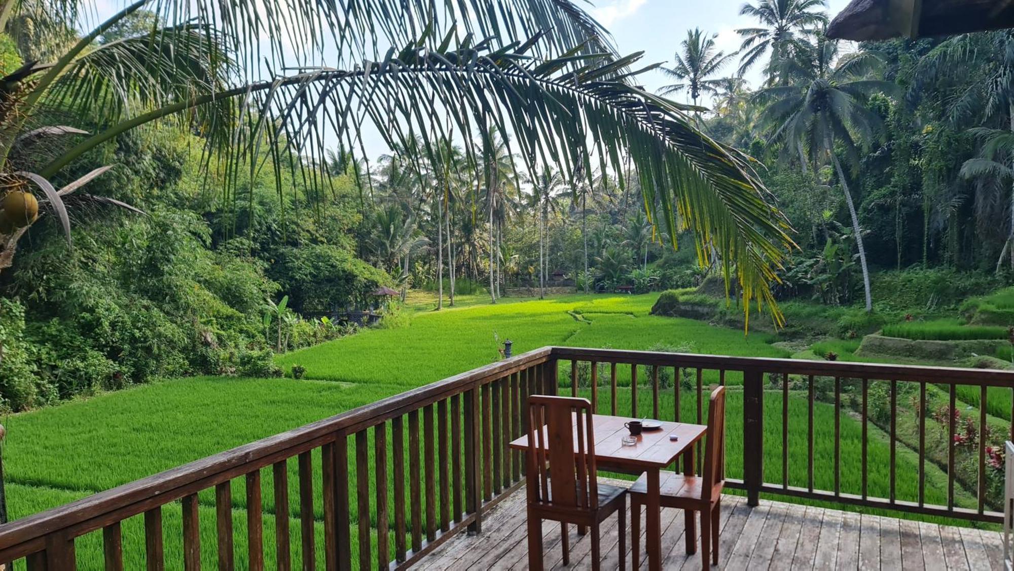 Tirta Sari Villa Tampaksiring Buitenkant foto