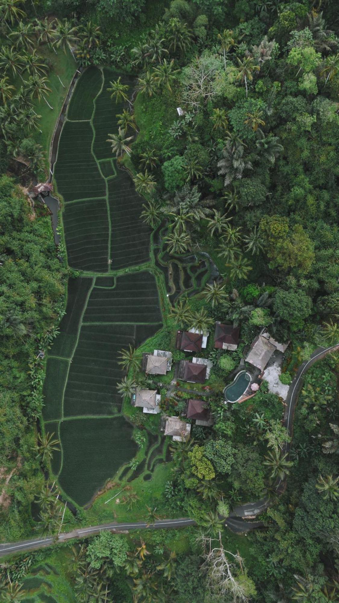 Tirta Sari Villa Tampaksiring Buitenkant foto